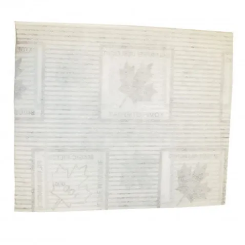 Scanpart 32669 Dunstfilter Clean Vivanco