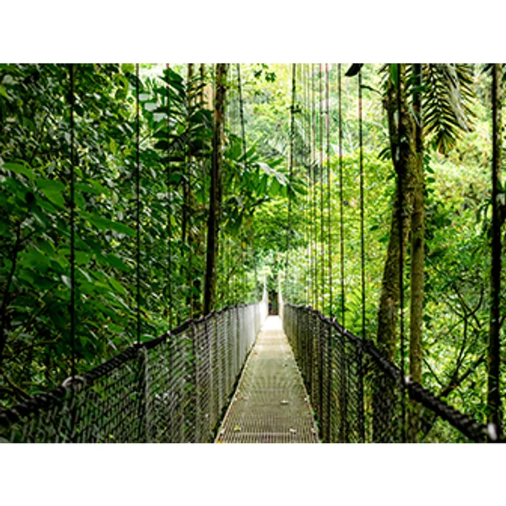 HP - EliteBook 6 G1i Notebook AI - 177°-Scharnierdesign - Intel Core Ultra 7 255U / 2 GHz - Win 11 Pro - Intel Graphics - 16 GB RAM - 512 GB SSD NVMe -