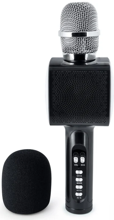 Party Mic (Akkubetrieb), Bluetooth Lautsprecher, Schwarz - Party Mic (Akkubetrieb), Bluetooth Lautsprecher, Schwarz