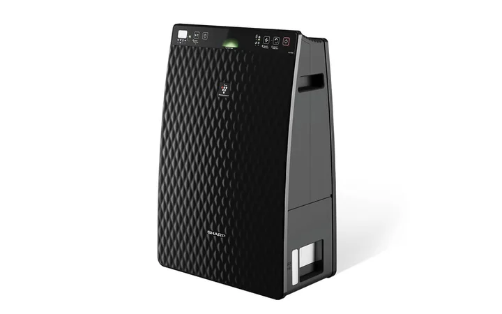 Sharp Luftreiniger UA-HG30E-B für 21 m² mit HEPA-Filter Schwarz