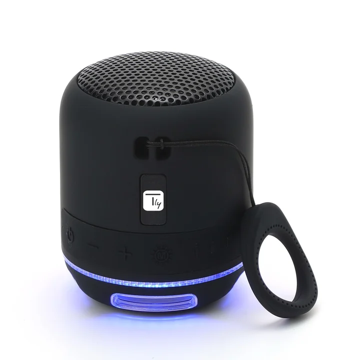 Wireless Portable Speaker (4 h, Akkubetrieb), Bluetooth Lautsprecher, Schwarz