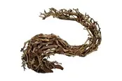 4FISH Dragonhead tree roots 22x10x15 cm