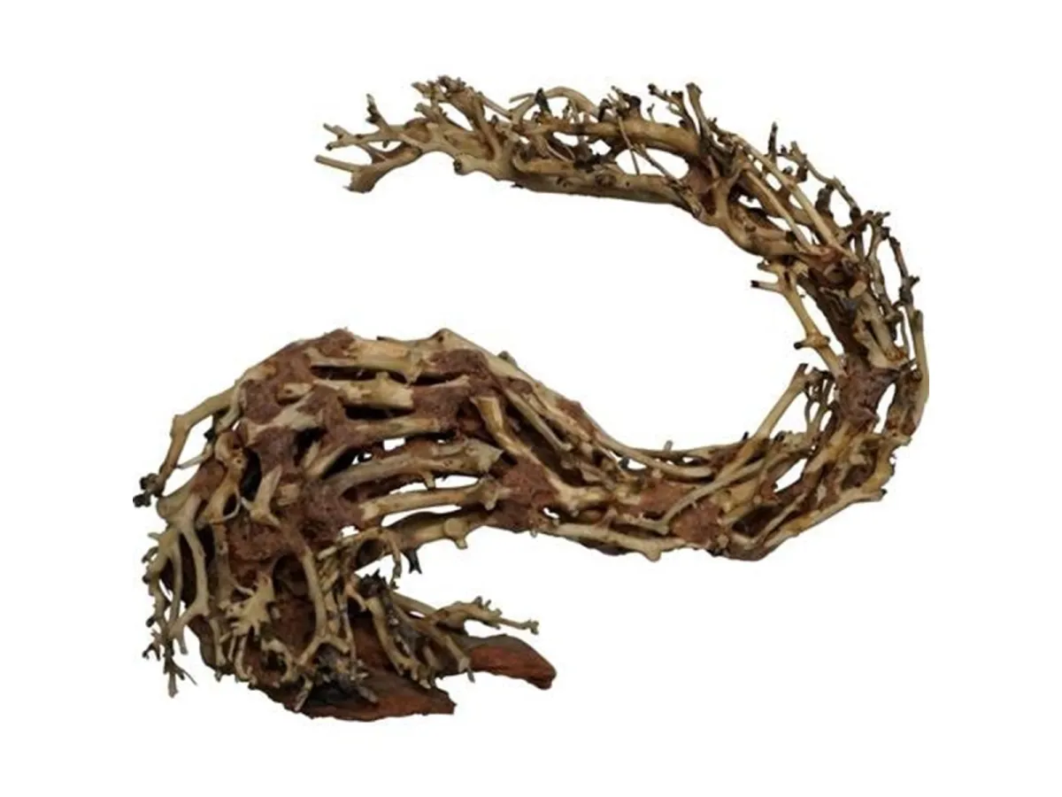 4FISH Dragonhead tree roots 30x13x23 cm