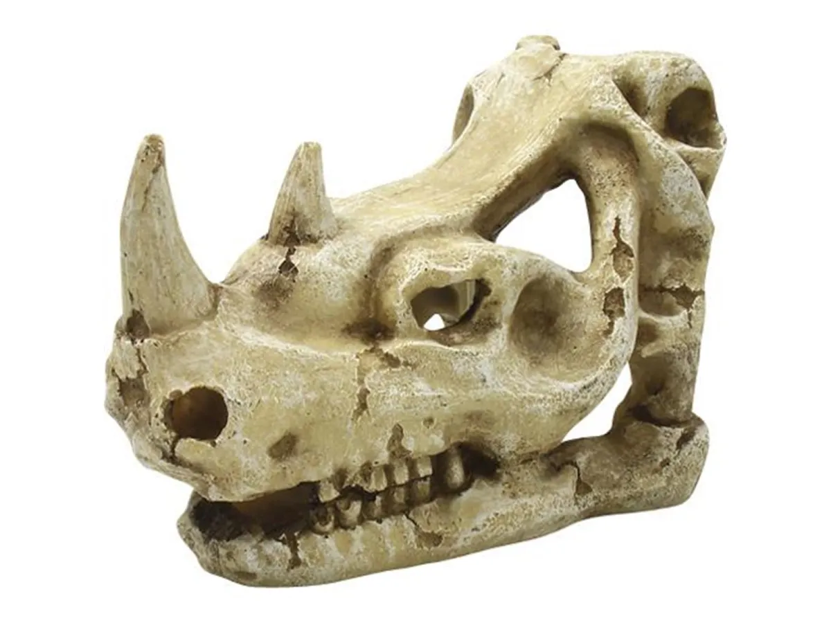 4FISH Skull 16x9.5x10.7 cm