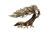 4FISH Tree roots Elegant Brazilian tree 70x23x50cm