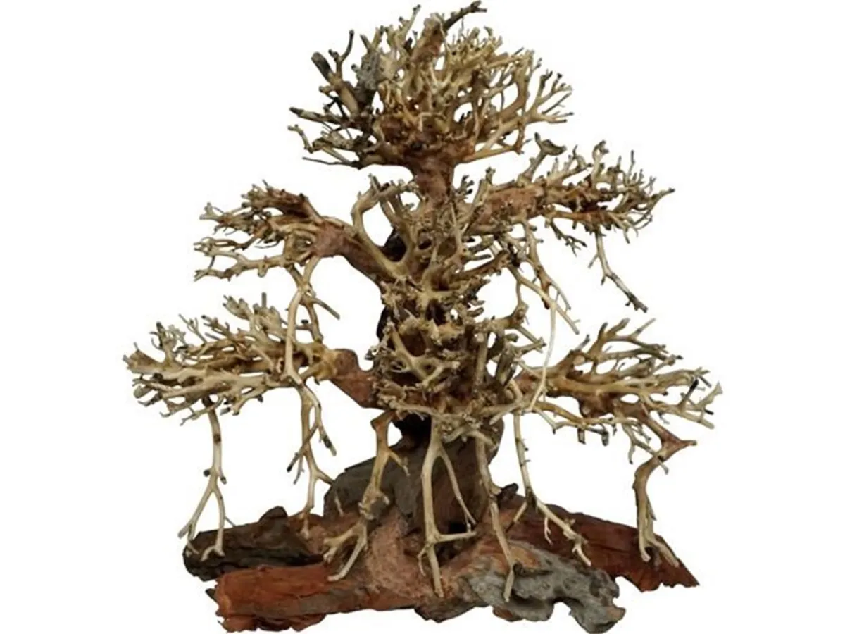 4FISH Tree roots Old Bonsai 30x15x30 cm