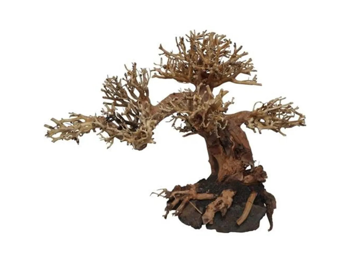 4FISH Tree roots Peaceful Bonsai 40x20x30 cm