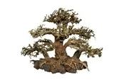 4FISH Tree roots Tree Island 20x10x15 cm