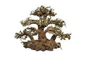 4FISH Tree roots Tree Island 40x15x30 cm