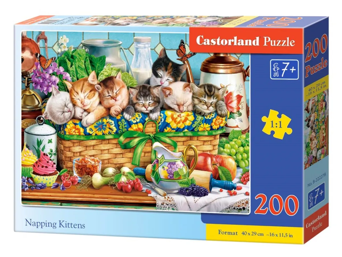 Castorland Sleeping kittens