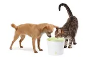 Catit Design White/Lime Drinking fountain 3L