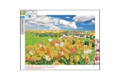 CENTRUM Diamond Painting 30*40cm. Tulip field