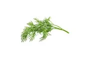 Click & Grow Click and Grow Smart Garden Refill 3-pack - Dill