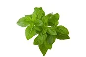 Click & Grow Click and Grow Smart Garden Refill 3-pack - Dwarf Basil