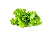 Click & Grow Click and Grow - Smart Garden Refill 3-pack - Green Lettuce (SGR32X3)