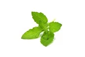 Click & Grow Click and Grow Smart Garden Refill 3-pack - Holy Basil