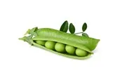 Click & Grow - Smart Garden Refill 3-pack Dwarf Pea