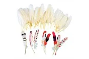 Colorations - White Feathers 48pcs.