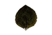 Costa Nova Asiet Hydrangea leaf Riviera 17 x 15 cm Dark green/Black