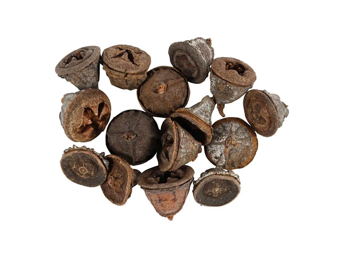 Creativ Company - Larch cones 25 grams