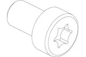Cubic Torx socket head cap screw 3101-0616