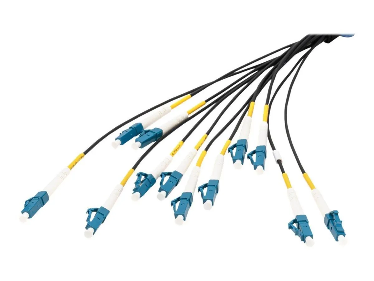 DIGITUS breakout cable - 100 m - black - Schwarz - 100 meter