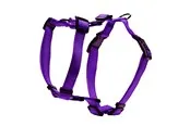 Dogman H-harness Iris