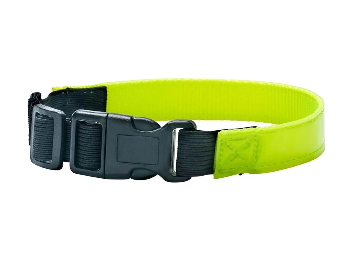 Dogman Reflective collar