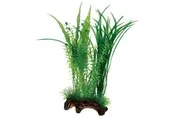Dohse Flora Root 1 L 30 cm