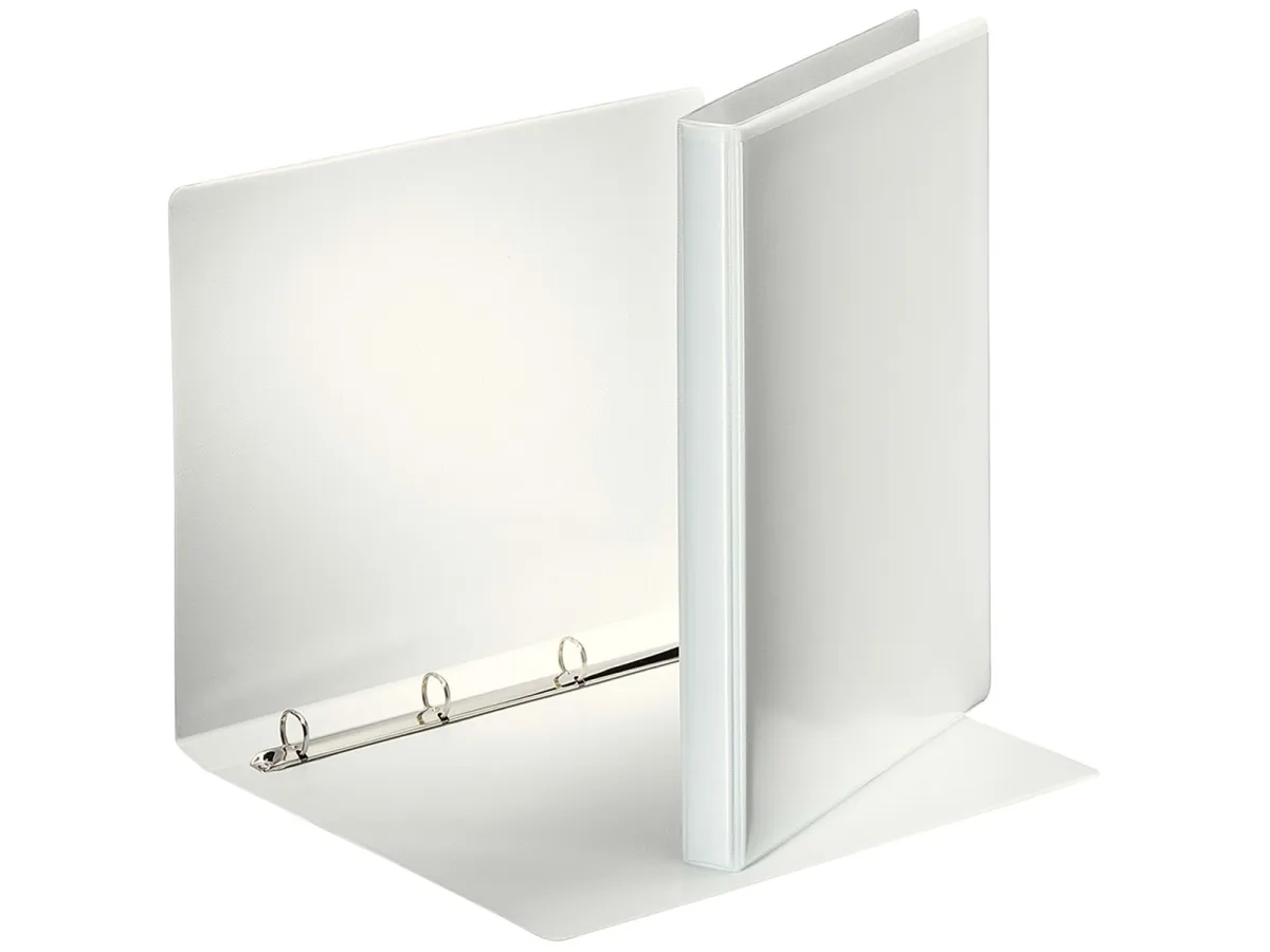 Esselte Präsentationsringbuch