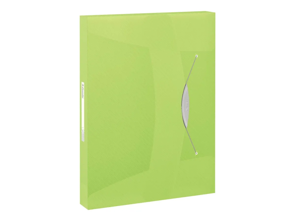 Esselte VIVIDA Ablagebox grün