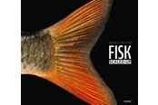 FISK – scaled-up