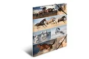 HERMA Elasticated folder A3 cardboard horses