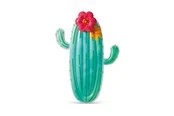 Intex Cactus Float
