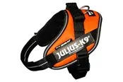Julius-K9 IDC Powerharness UV Orange Mini 49-67cm