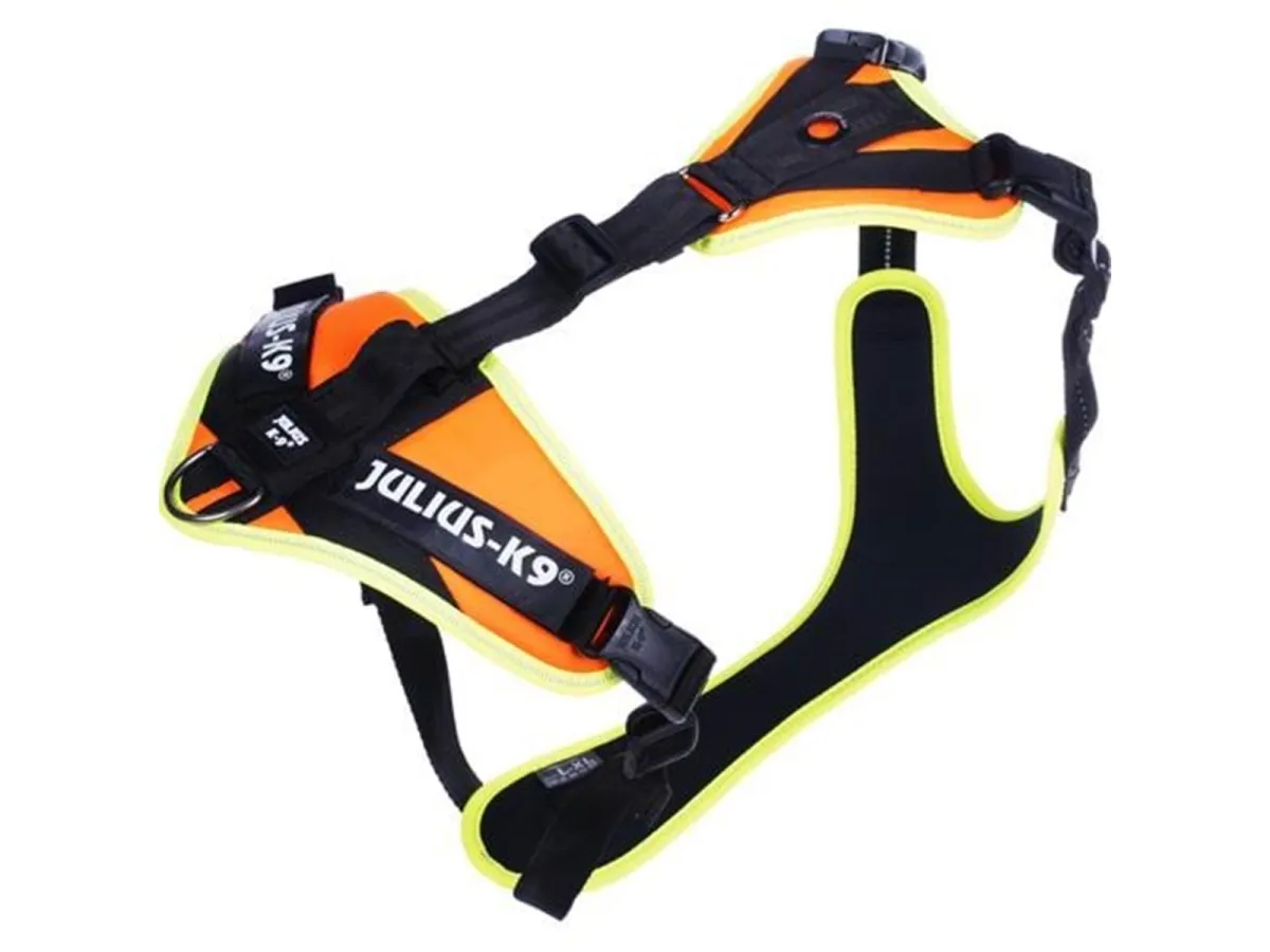 Julius-K9 Mantrailing harness L-XL Orange