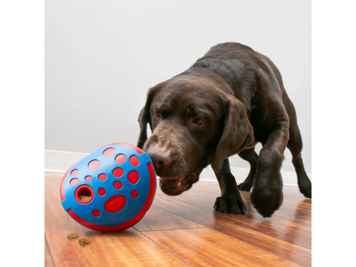 KONG Activation Toy Rewards Wally