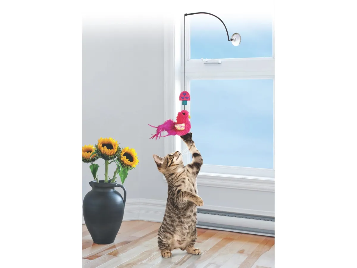 KONG Cat Toy Connects Window Teaser Assorted Colors