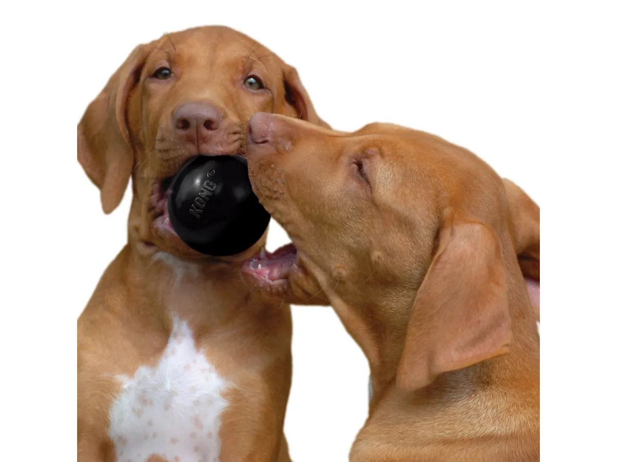 KONG Dog Toy Ball Extreme Small 6cm