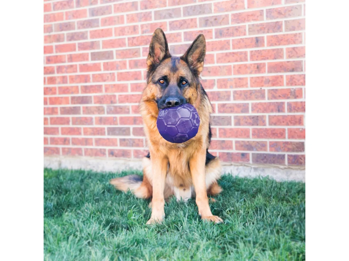 KONG Dog Toy Flexball 15cm