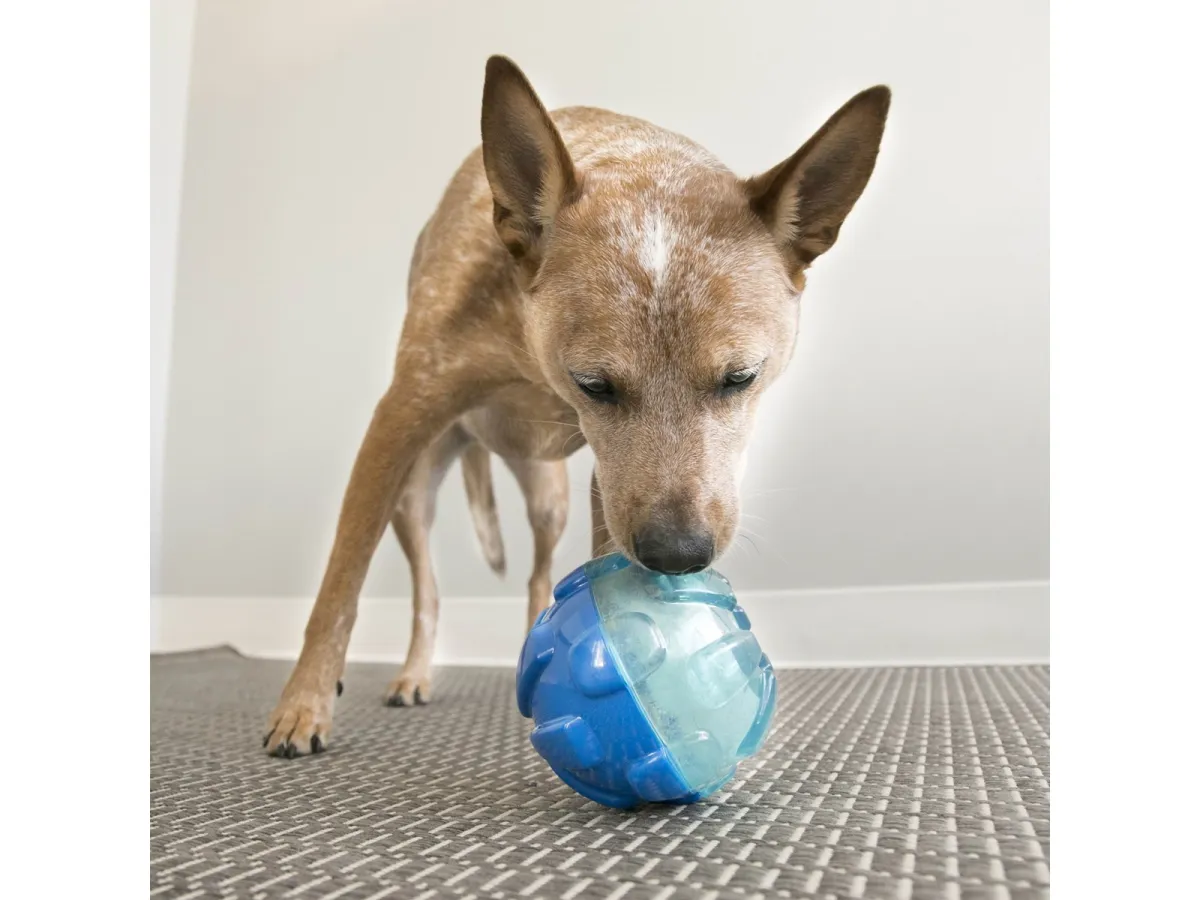 KONG Dog Toy Rewards Ball Large 12cm