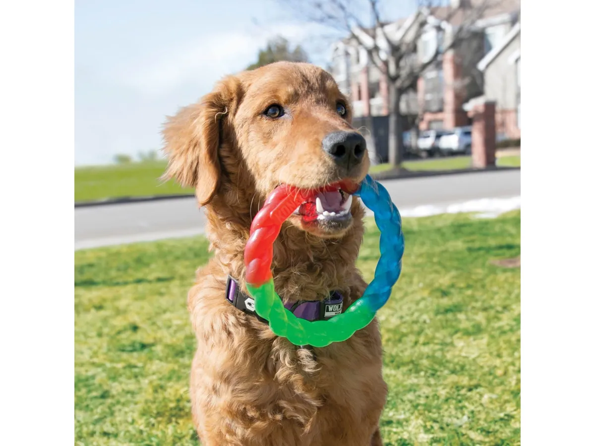 KONG Dog Toy Twistz Ring Small 17cm