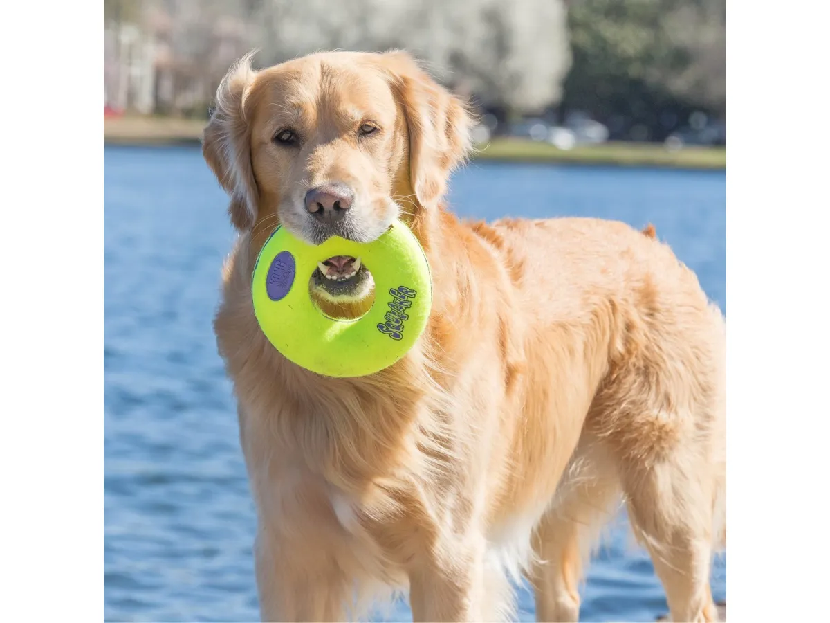 KONG Hundespielzeug AirDog Donut Medium 12cm