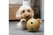 KONG Hundespielzeug Bambus Futterball Leckerli-Spender 12cm
