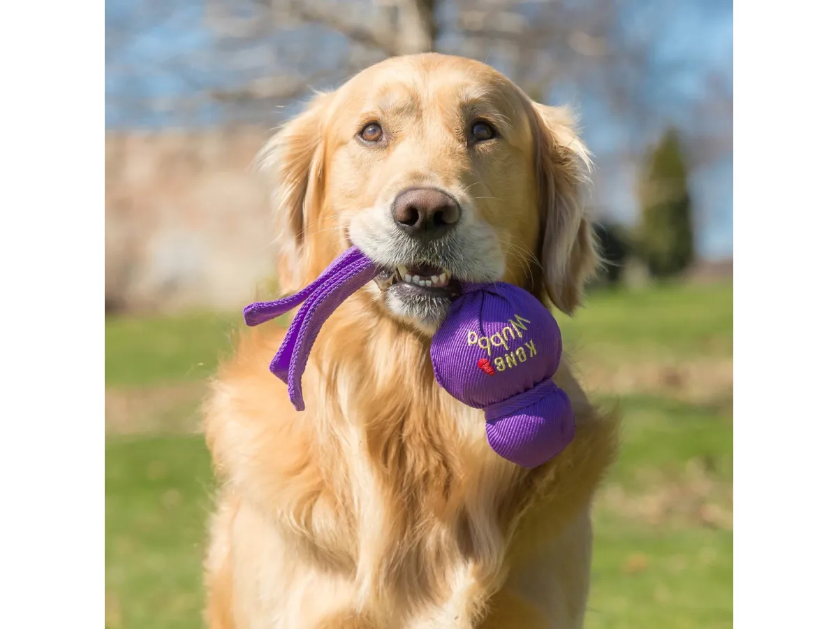 KONG Hundespielzeug Wubba Assorted Colors Large 32cm