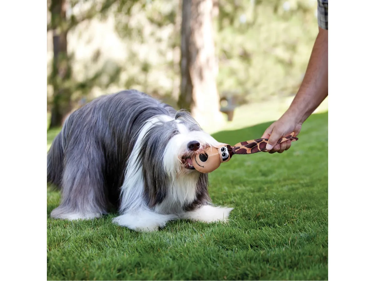 KONG Hundespielzeug Wubba Floppy Ears Assorted Colors 32cm