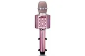 Lenco BT Mic. And speaker with lights rosegold