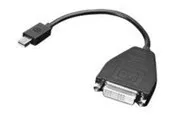 Lenovo DisplayPort adapter - 20 cm