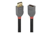 Lindy Anthra Line - DisplayPort extension cable - DisplayPort to DisplayPort - 50 cm