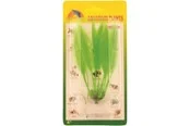 Meadow Amazon sword plant plastic 10 cm